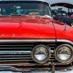 Confira o nome de 5 carros inspirados em animais para associar força. Foto: Canva